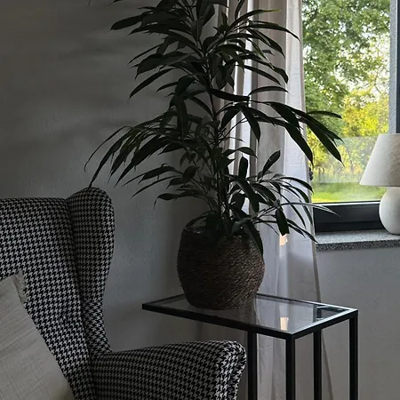 Apartment Mams-cottage-doris *